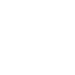 Chrome Netsupport School