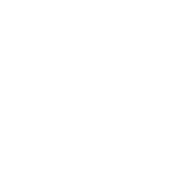 Chrome Netsupport School
